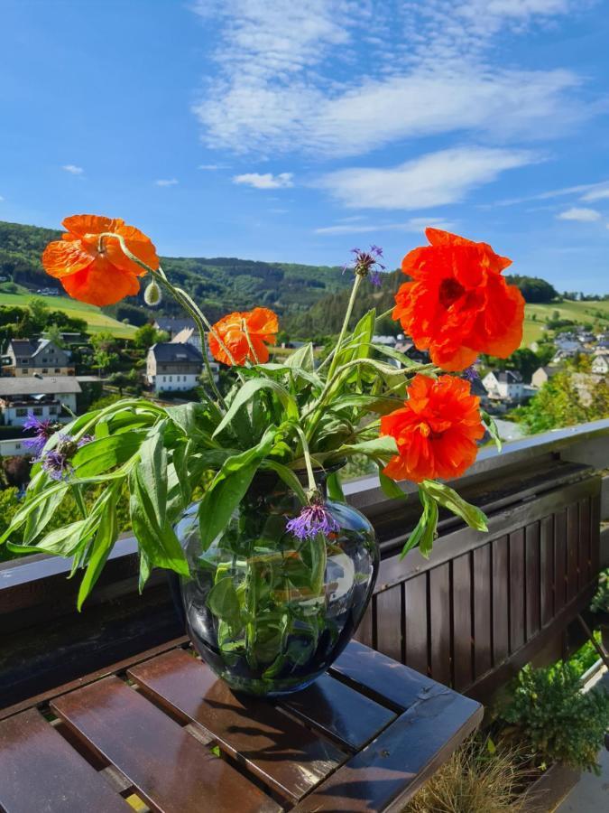 Panoramablick Willingen Schwalefeld Apartamento Exterior foto