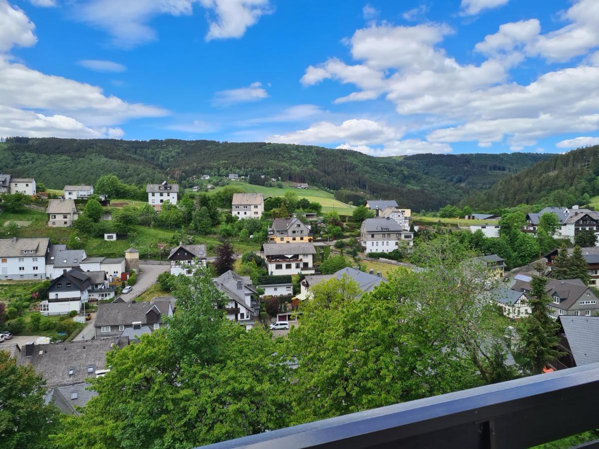 Panoramablick Willingen Schwalefeld Apartamento Exterior foto