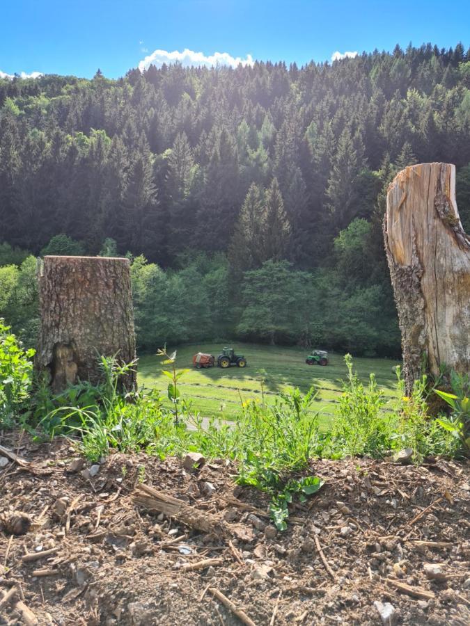 Panoramablick Willingen Schwalefeld Apartamento Exterior foto